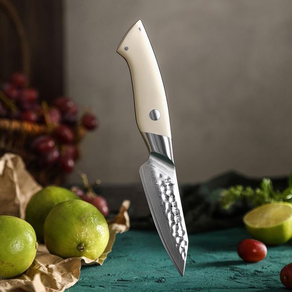 Кухонний Ніж Для Чищення Овочів і Фруктів із Дамаської Нержавіючої Сталі "ELEGANT" G10 Слонова Кістка HEZHEN B38H-004 фото